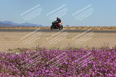 media/Feb-10-2023-2WTD (Fri) [[a356e03532]]/B Group/Session 5 (Turn 15 Blooming)/
